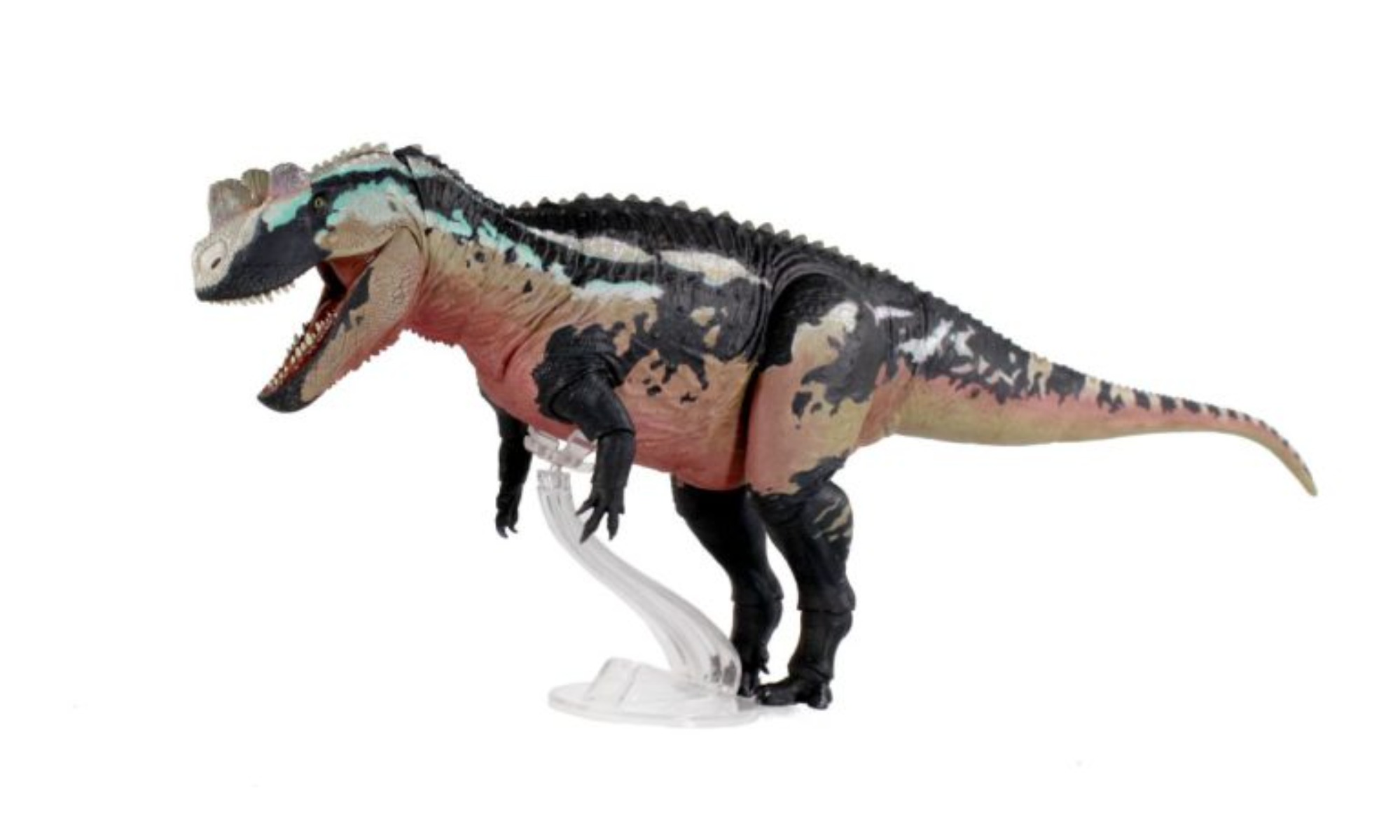 Model Kit Baki - Модель Ceratosaurus Dentisulcatus в масштабе 1:18