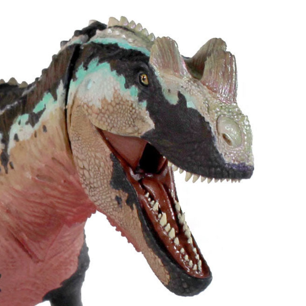 Модель Ceratosaurus Dentisulca – обзор и цена Model Kit Baki