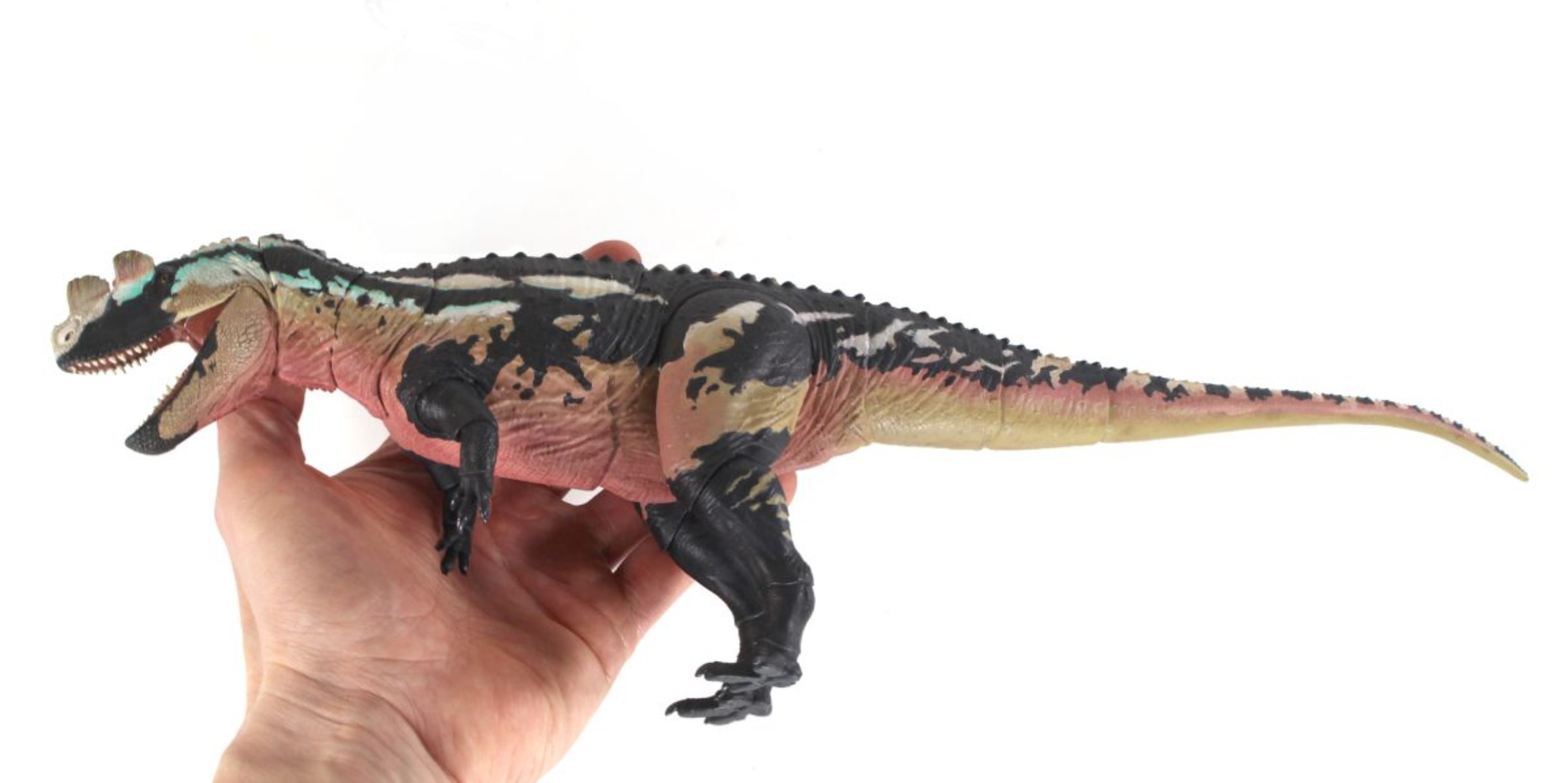 Модель Ceratosaurus Dentisulca – обзор и цена Model Kit Baki