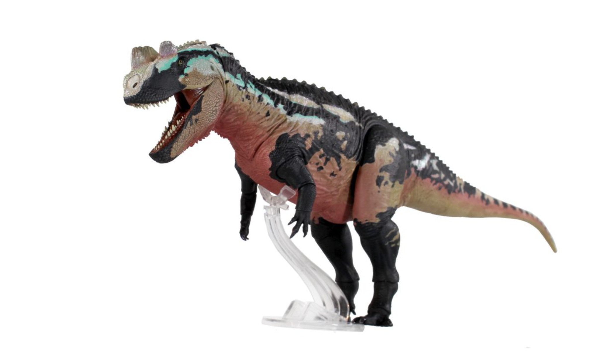 Модель Ceratosaurus Dentisulca – обзор и цена Model Kit Baki